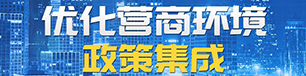 优化营商环境政策集成