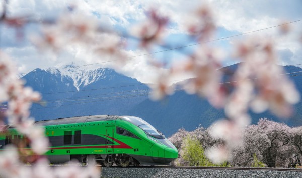 20250721_174026_009.jpg 20250721_174026_009.jpg