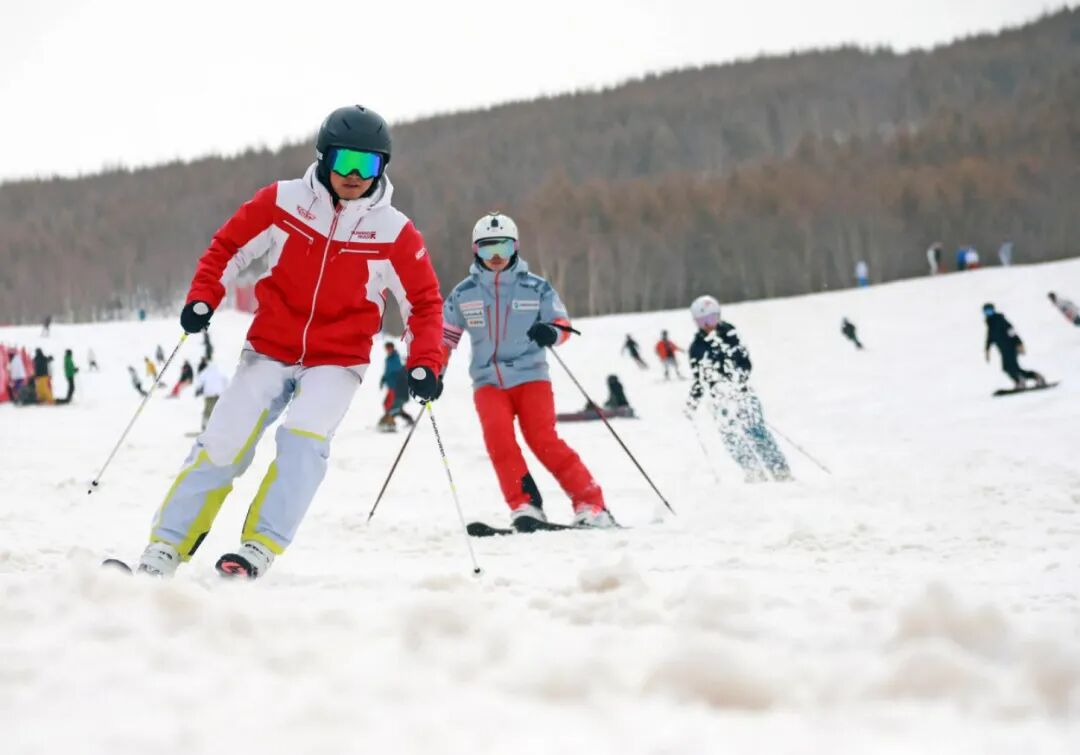 图片9.png 图片9.png