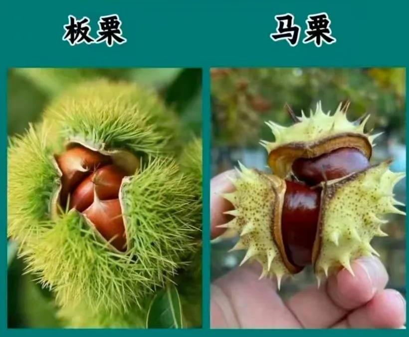 图片6.png